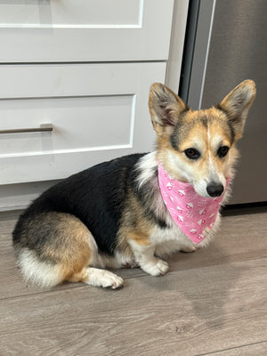 Gotcha day bandana