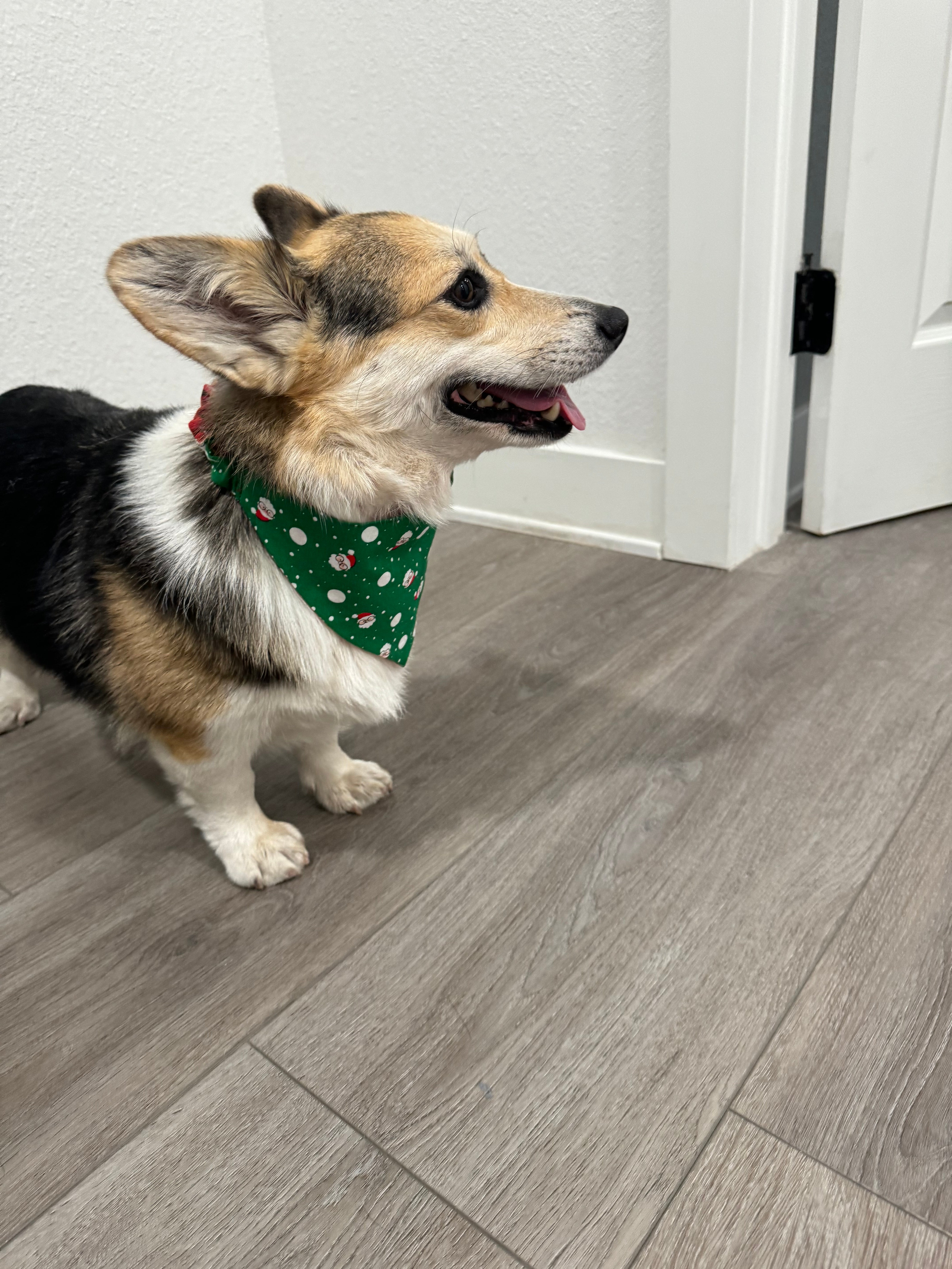 Christmas bandanas reversible