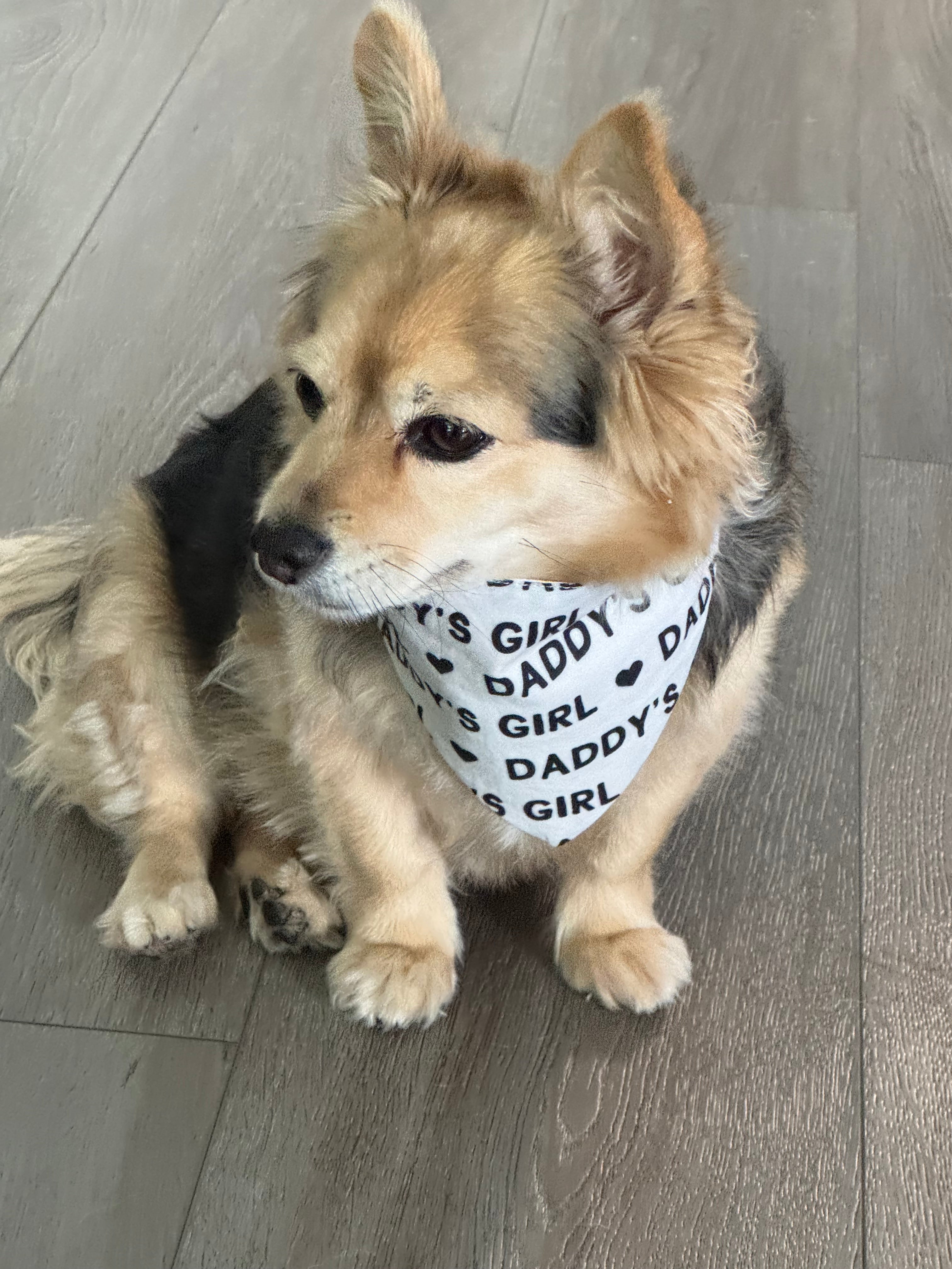 Daddy’s Girl
