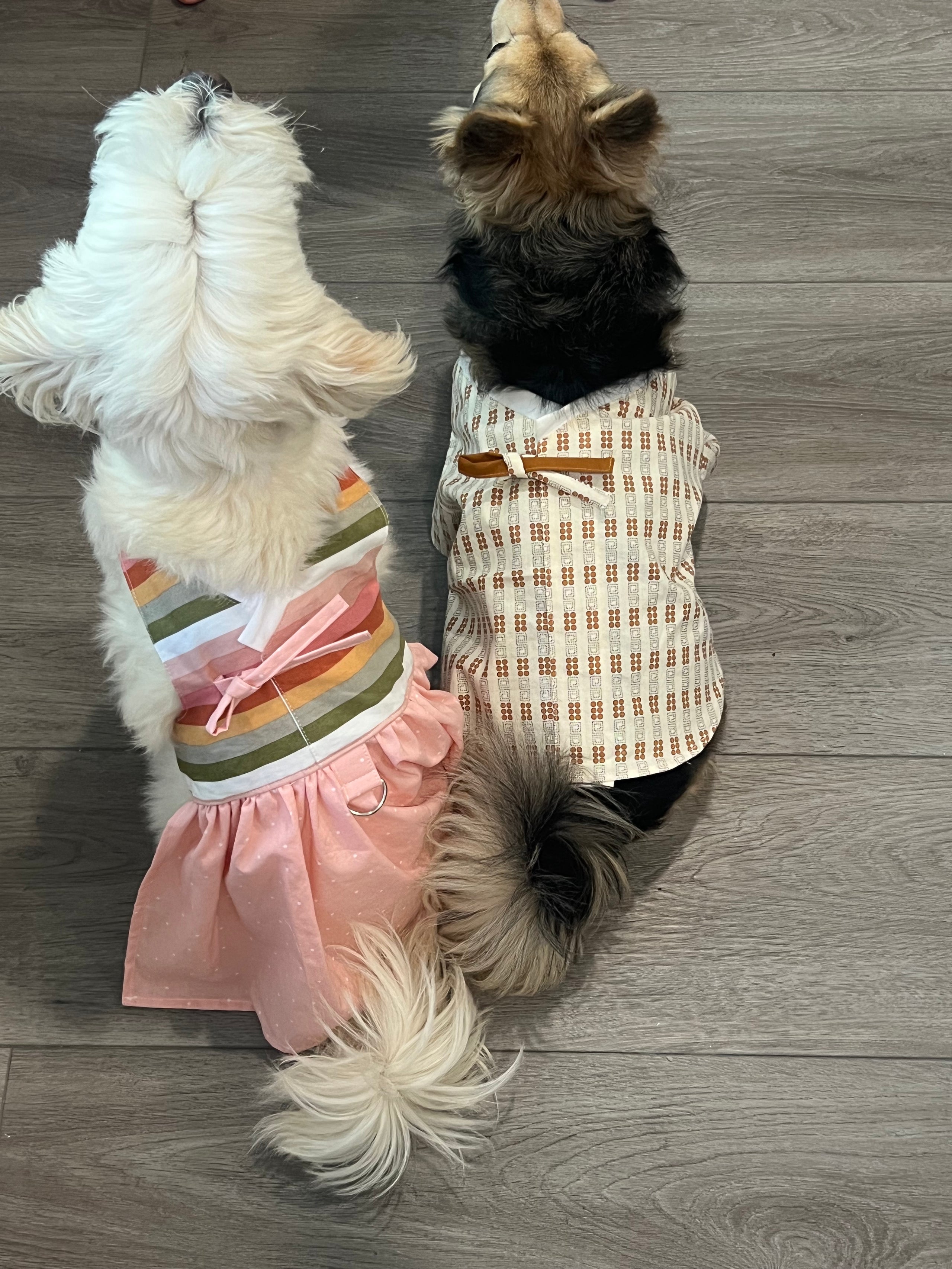 Happy dogs Happy Life