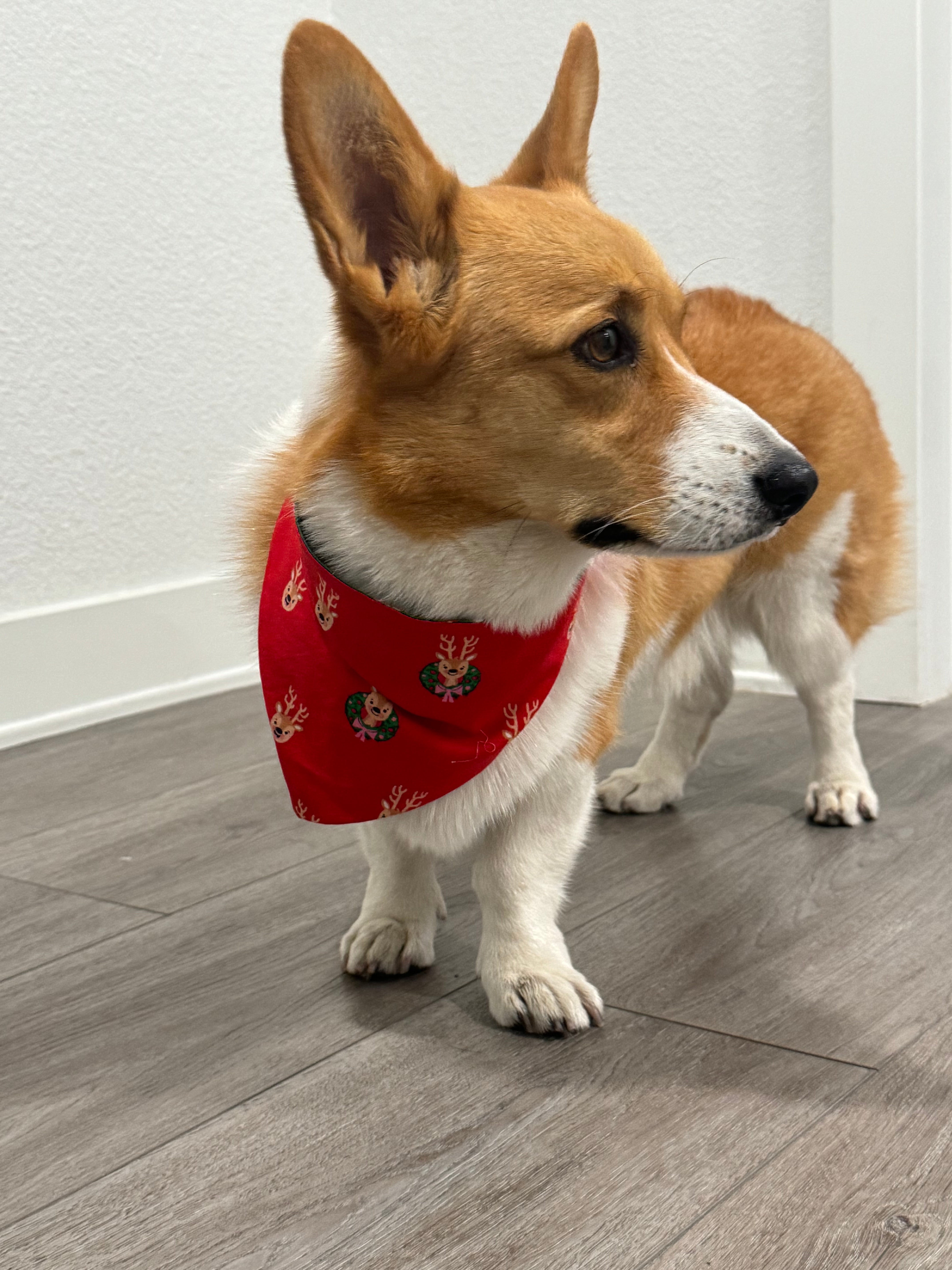 Christmas bandanas reversible