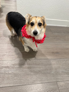 Ruffle collars